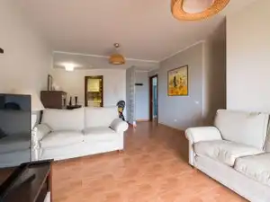 Sala d'estar de Àtic en venda en Santa María de Guía de Gran Canaria amb Terrassa, Traster i Balcó