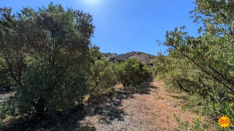 Foto 4 de Finca rústica en venta en Vélez-Rubio, Almería