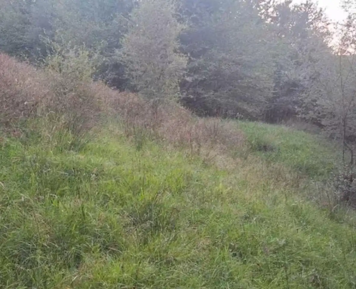 Lands and plots for sale in RIOTUERTO, imagen 4
