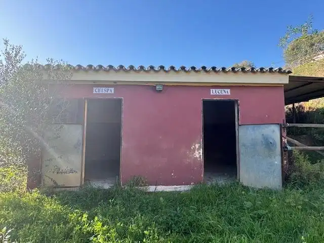 Vista exterior de Finca rústica en venta en Mijas con Calefacción, Jardín privado y Terraza