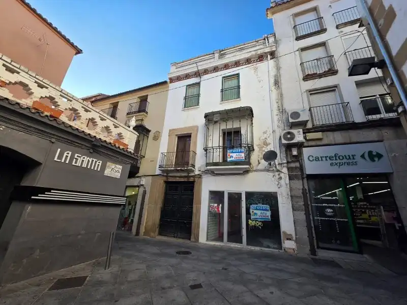 Xalet amb jardí en venda a Centro Ciudad