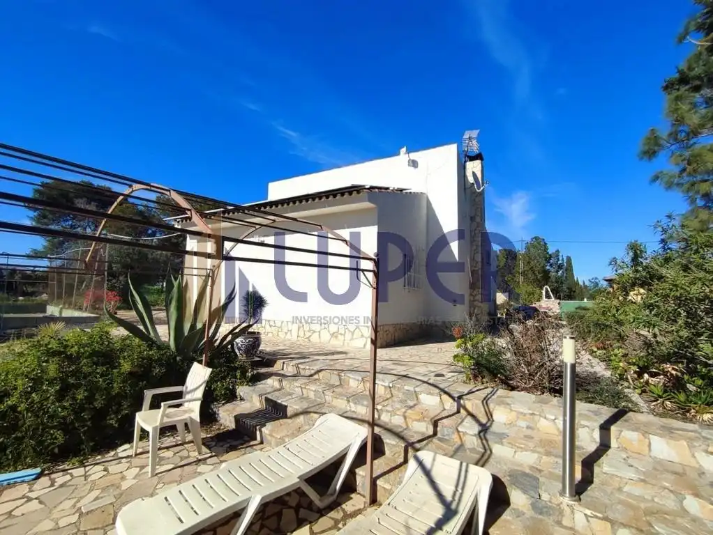 Garden of Houses for sale in San Vicente del Raspeig / Sant Vicent del Raspeig