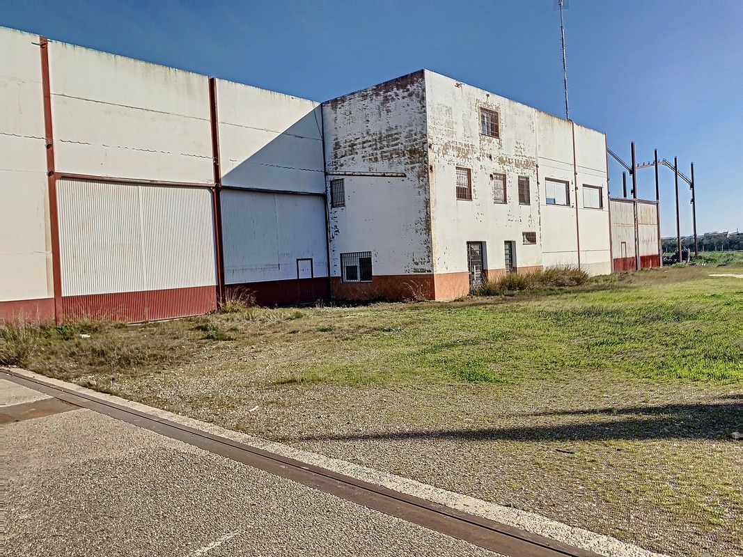 Außenansicht von Fabrikhallen zum verkauf in Fuente Palmera