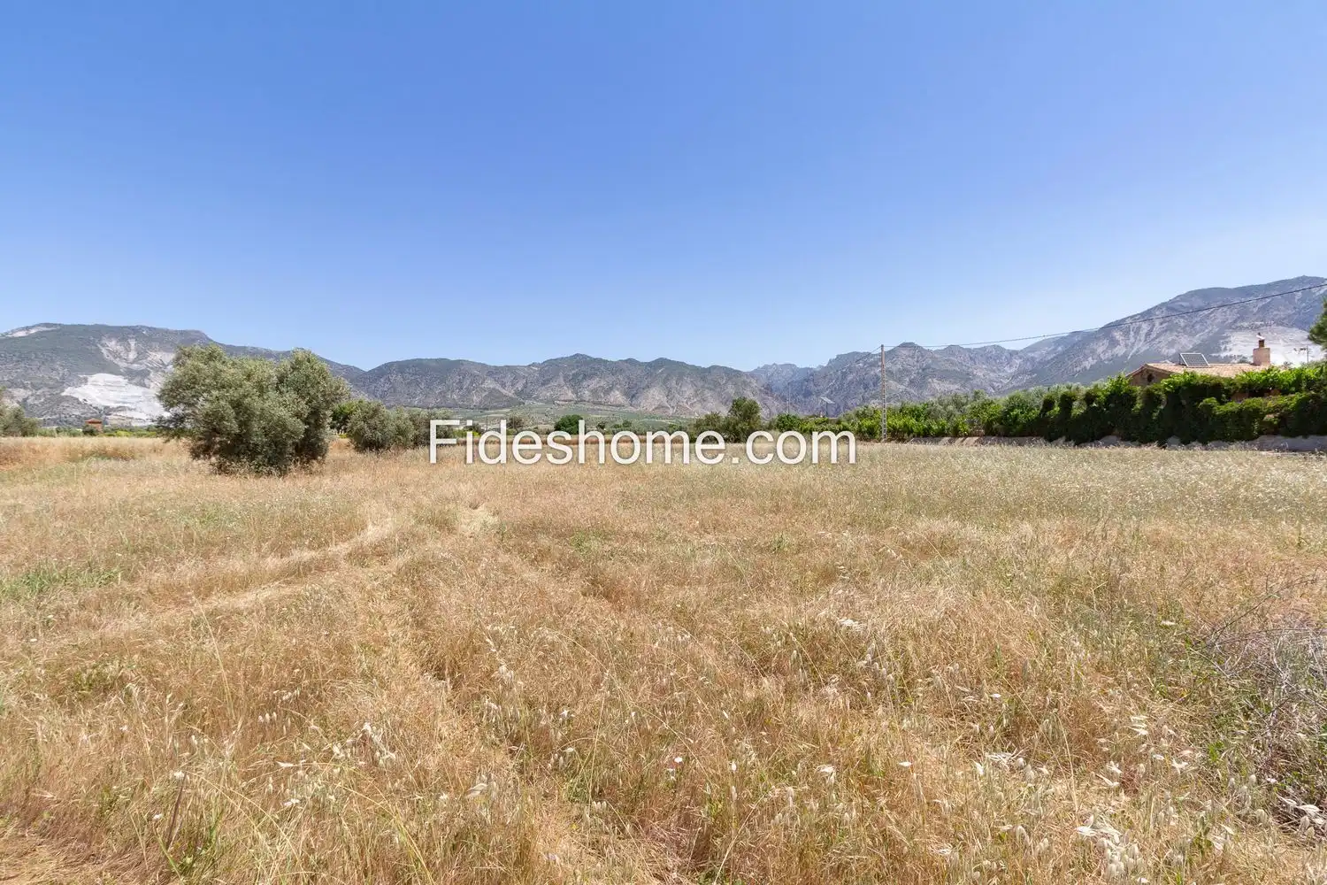 Rural land for sale in XCV6+H86 Cozvijar 0, imagen 6