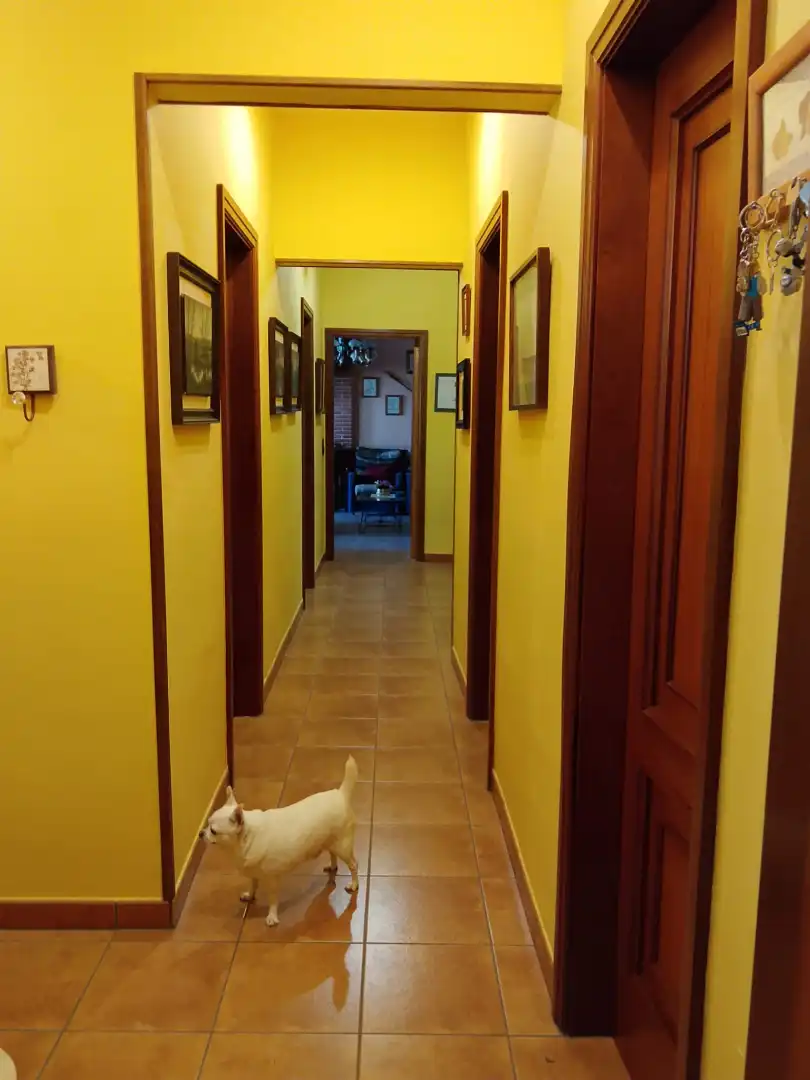 Houses for sale in Berga  with Heating, Private garden and Parquet flooring