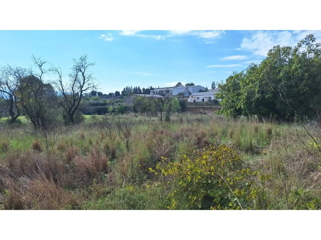 Terreno industrial en venta en Cami El Ras, imagen 7