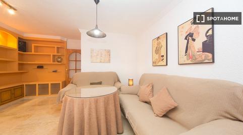 Photo 3 of Flat to share in Haza Grande, Granada
