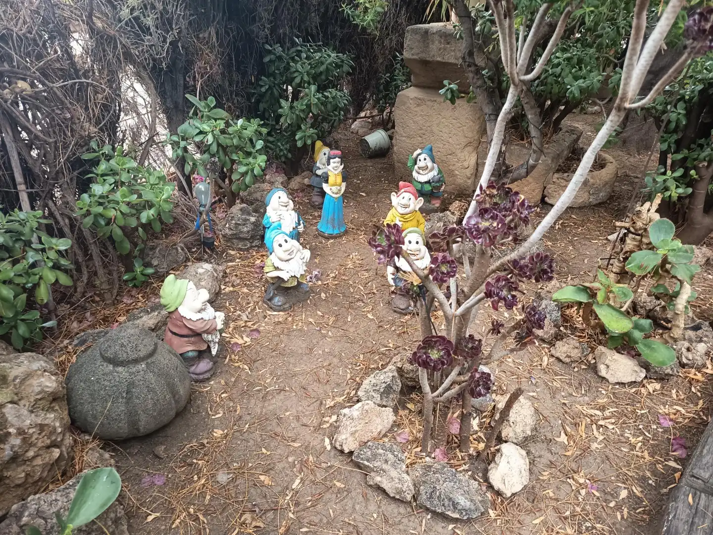 Jardí de Finca rústica en venda en Elda