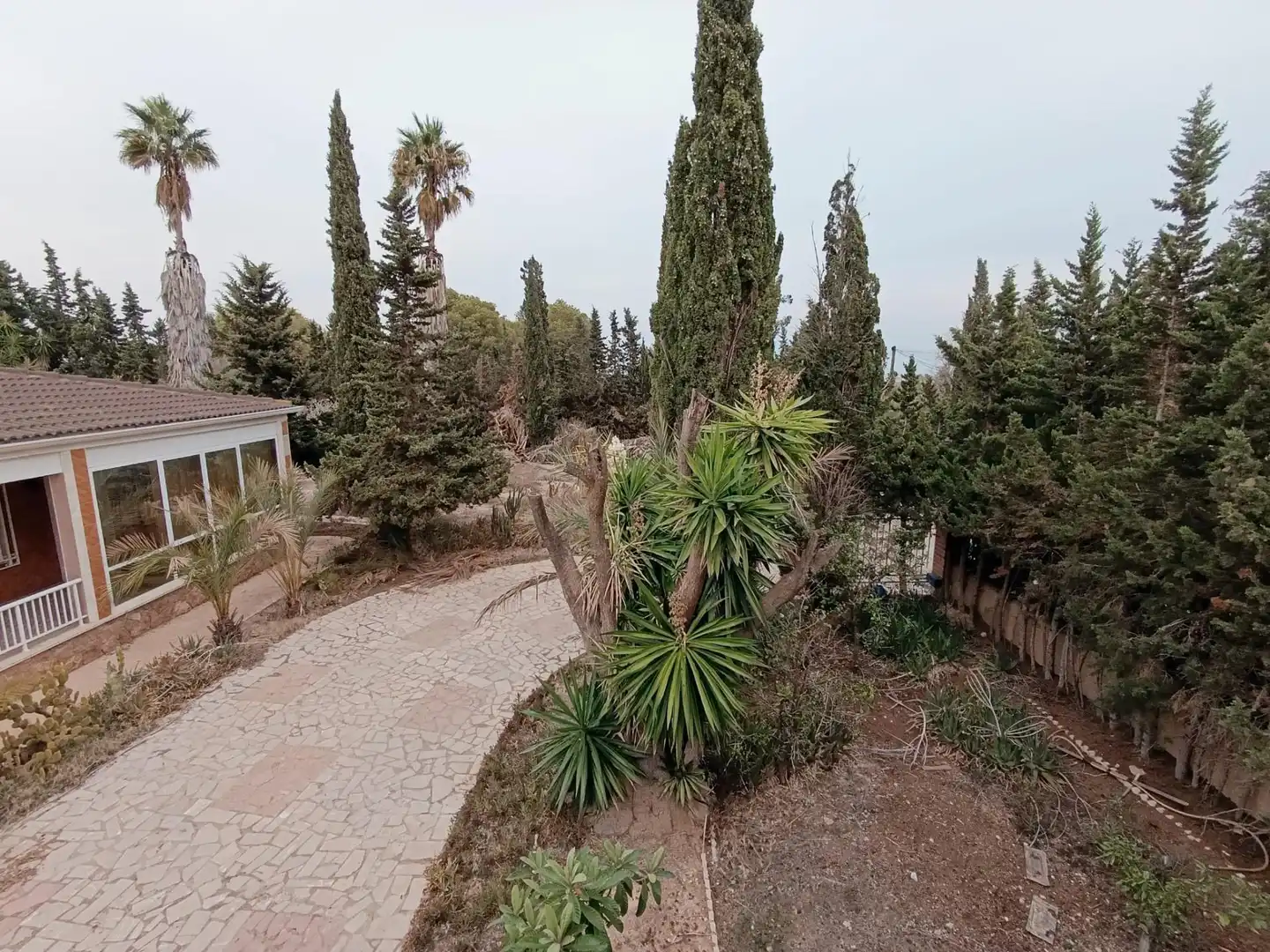 Jardí de Casa o xalet en venda en Elche / Elx amb Jardí privat, Terrassa i Traster