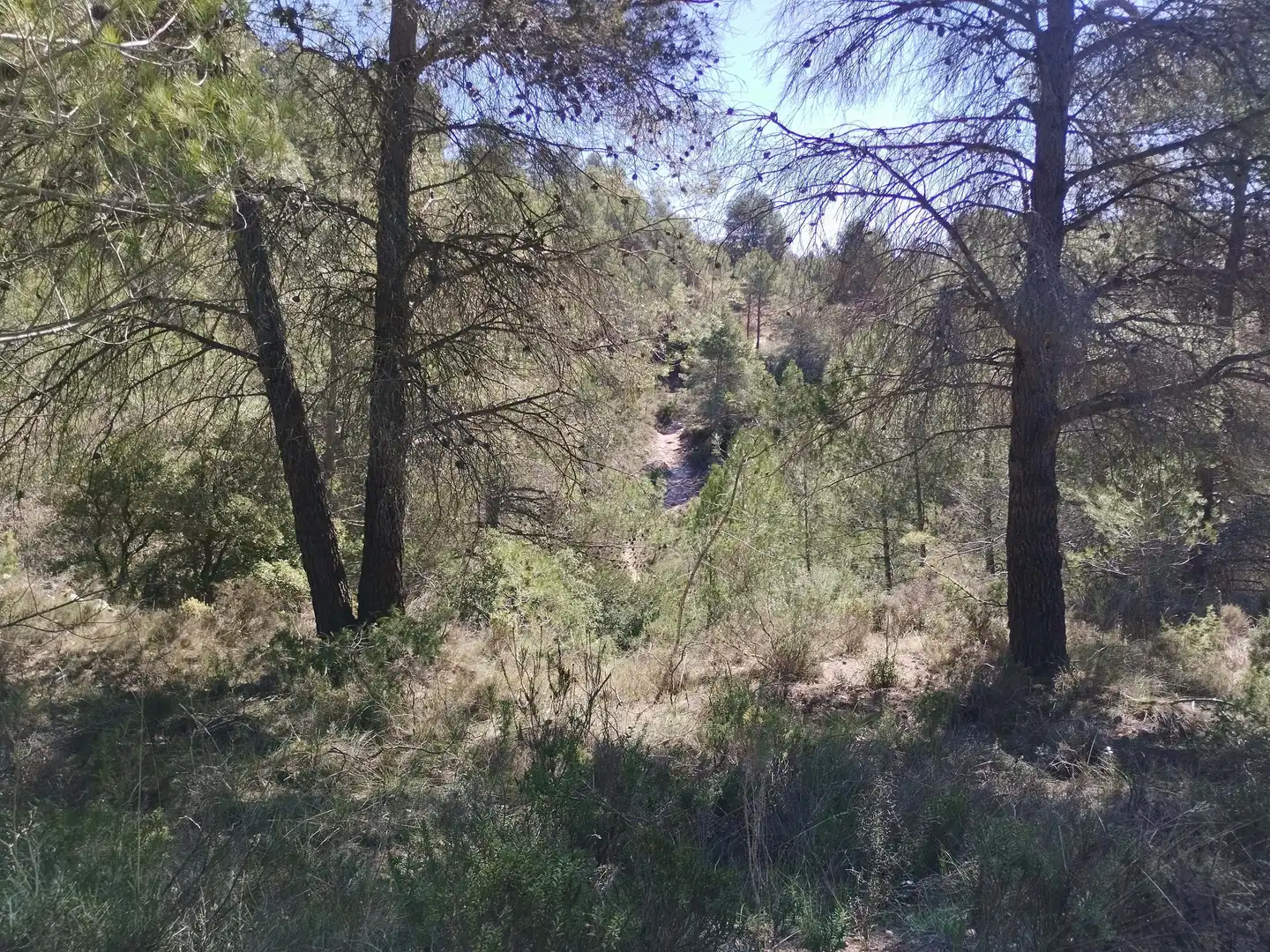 Terreno en venta en La Morera de Montsant