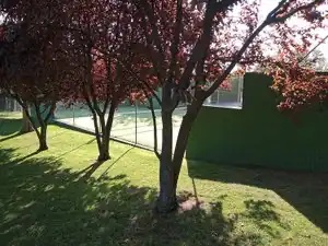 Jardí de Casa o xalet en venda en Las Rozas de Madrid amb Calefacció, Jardí privat i Parquet