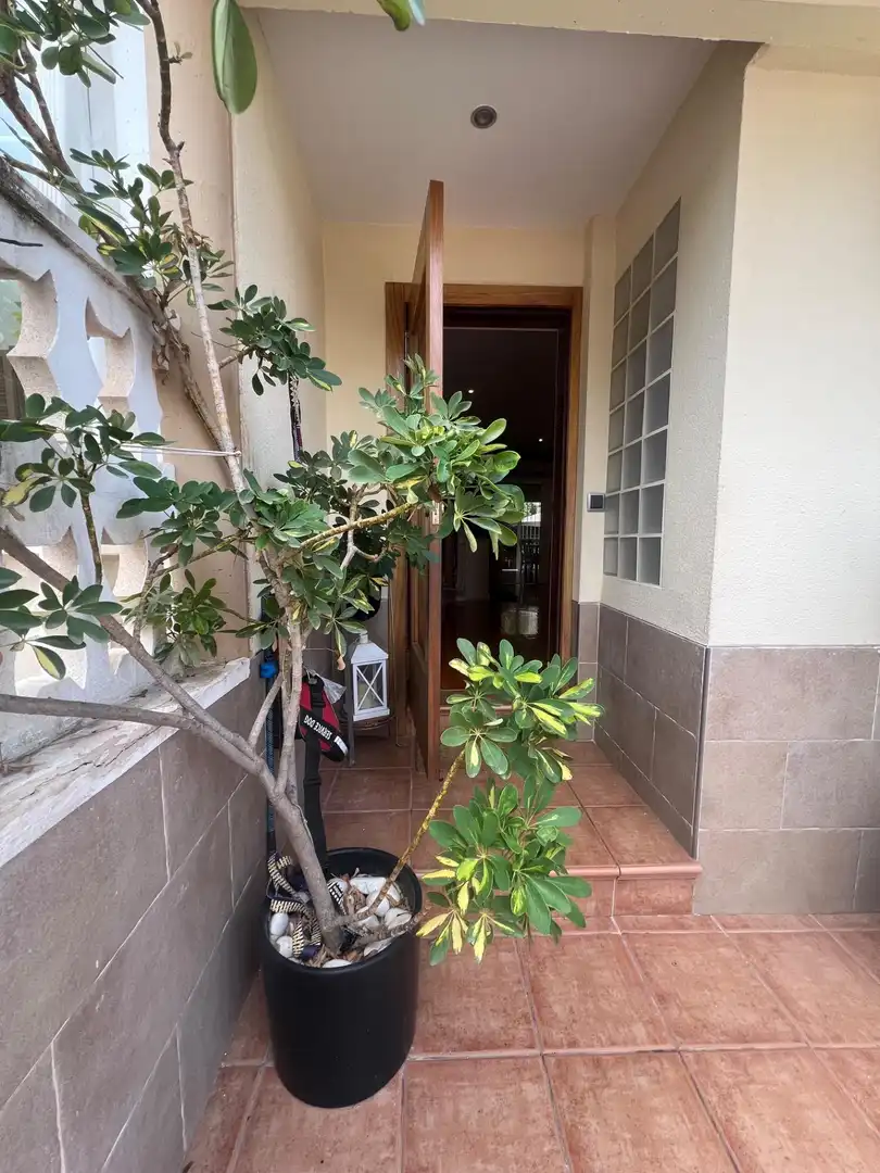 Terraza de Casa adosada en venta en Pedanías Este