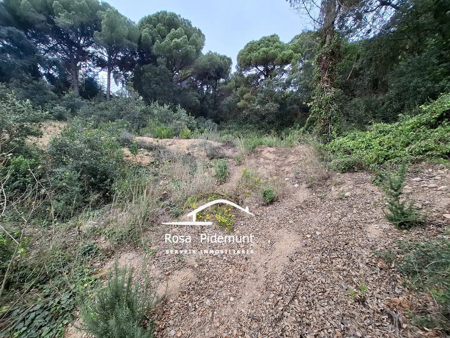 Terreno residencial en venta en Serra Brava, imagen 8