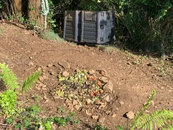 Garten von Grundstücke zum Verkauf in Cariño