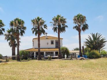 Casa rustica con piscina in vendita a Moguer