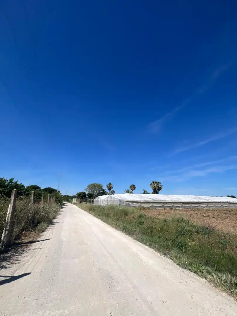 Vista exterior de Terreno en venta en Los Palacios y Villafranca