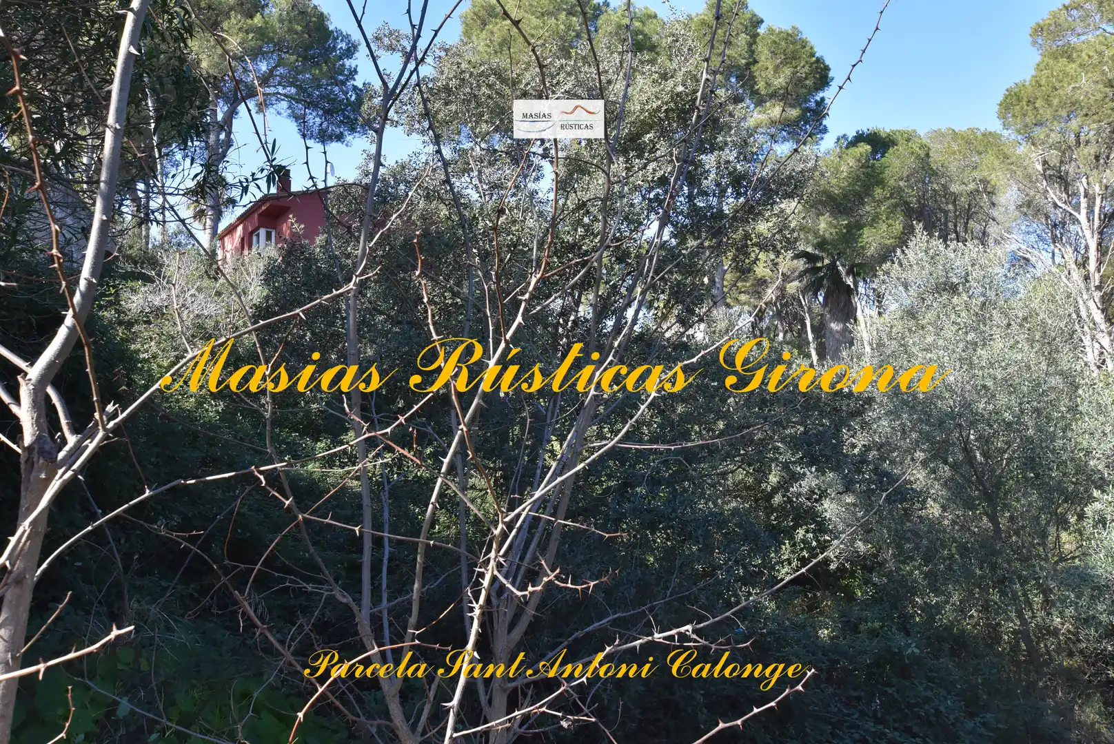Residential land for sale in Carrer Cadí 6, imagen 9