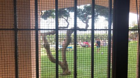 Photo 3 of Planta baja for sale in Playa de la Fontanilla, Marbella