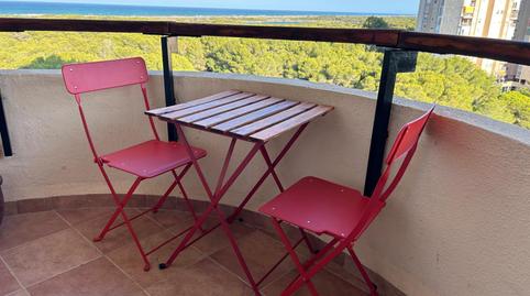 Photo 3 of Apartment to rent in Avenida de la Gola del Puchol, El Saler, Valencia