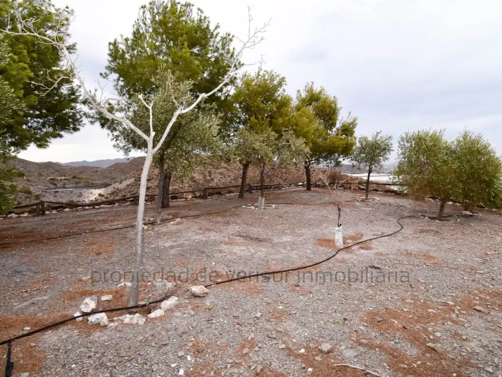 Casa rústica amb jardí en venda a Tébar - Los Arejos, imagen 24