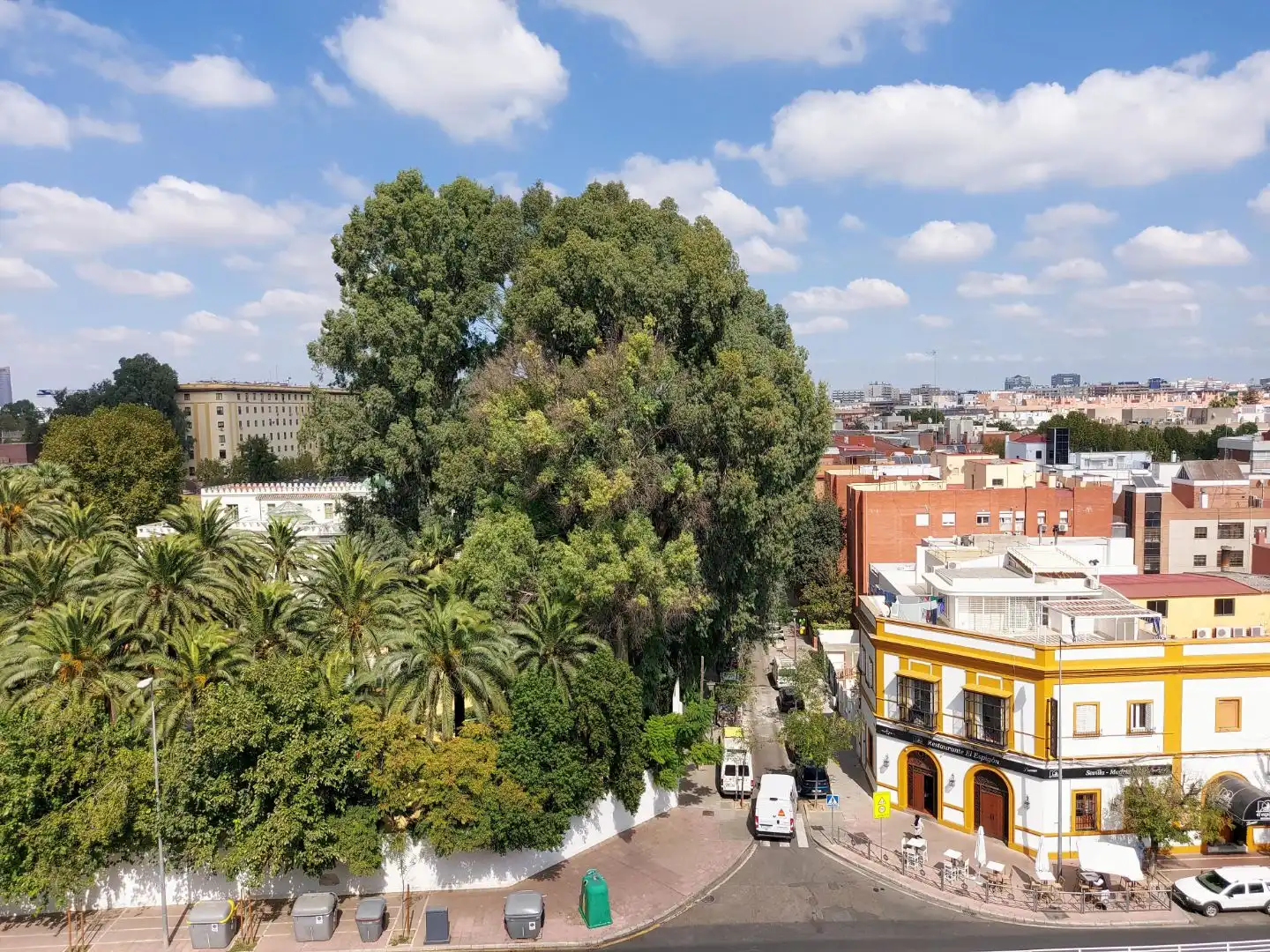 Wohnung mit Garten zum Verkauf in Avenida Manuel Siurot 3A, imagen 37