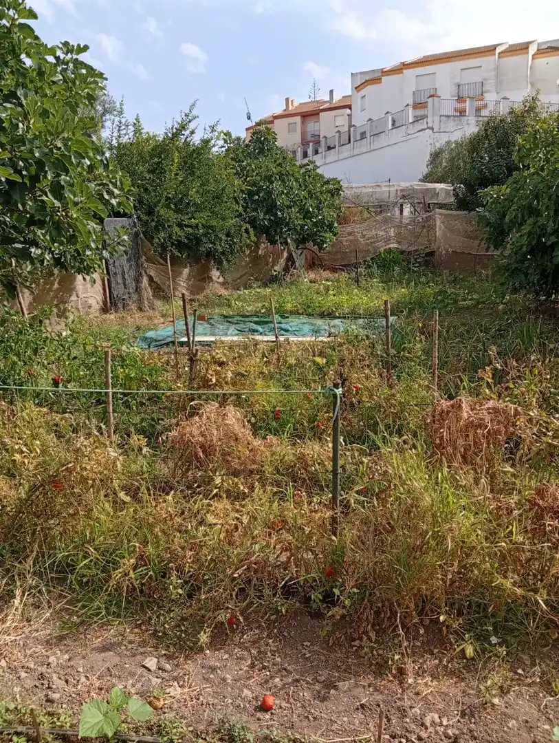 Villa avec jardin à vendre à Ayamonte ciudad, imagen 23