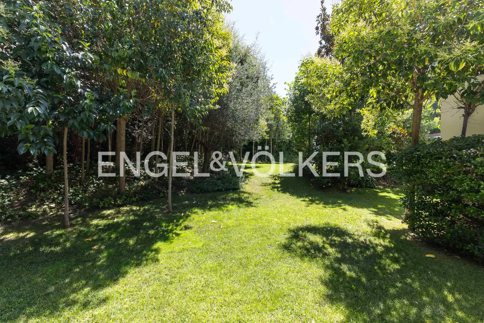 House with pool for sale in Urbanización La Moraleja, imagen 4