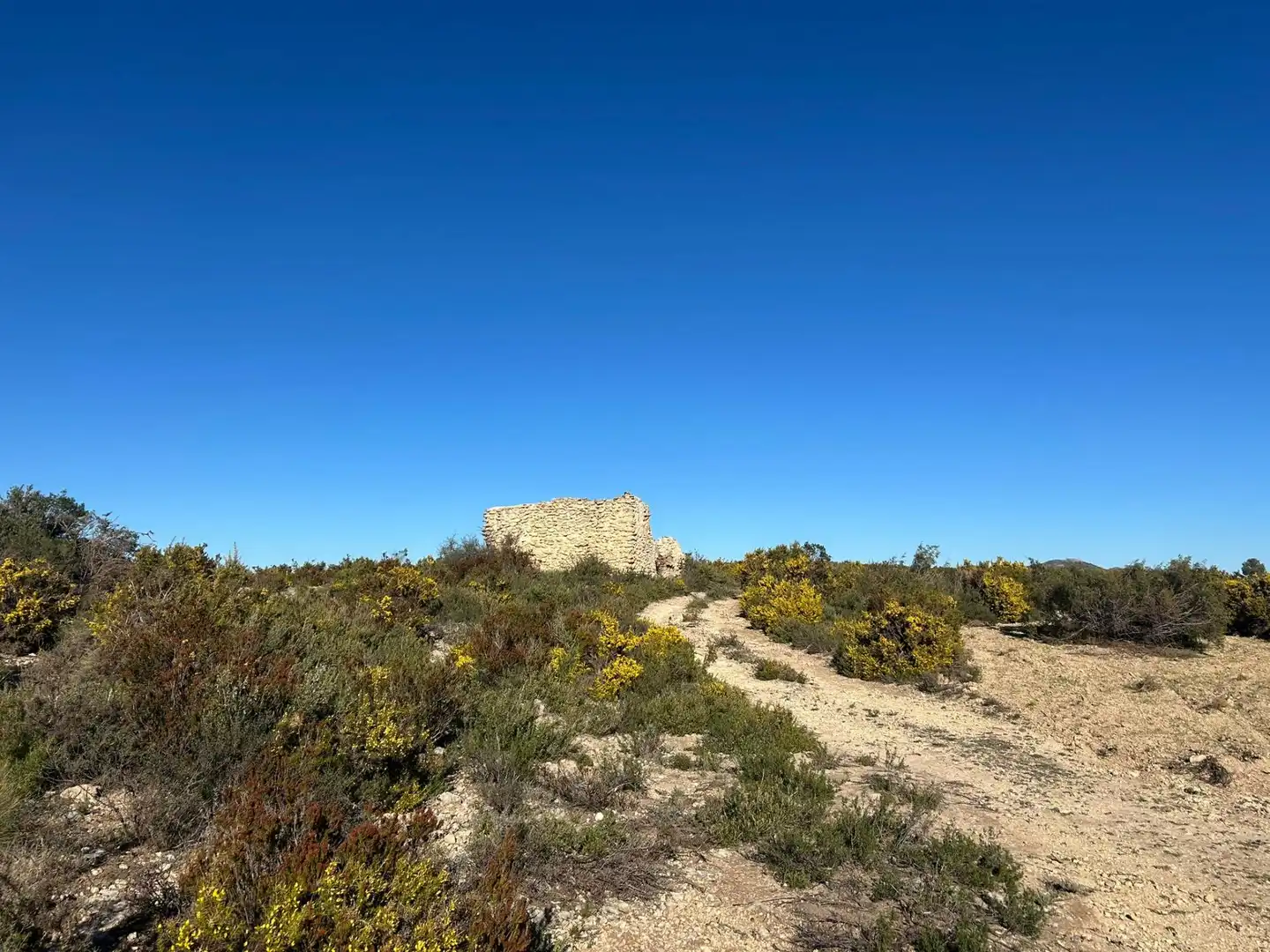 Finca rústica en venta en Alfafara
