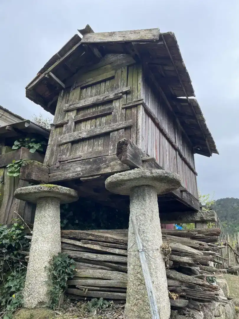 Vista exterior de Casa o xalet en venda en A Arnoia amb Balcó