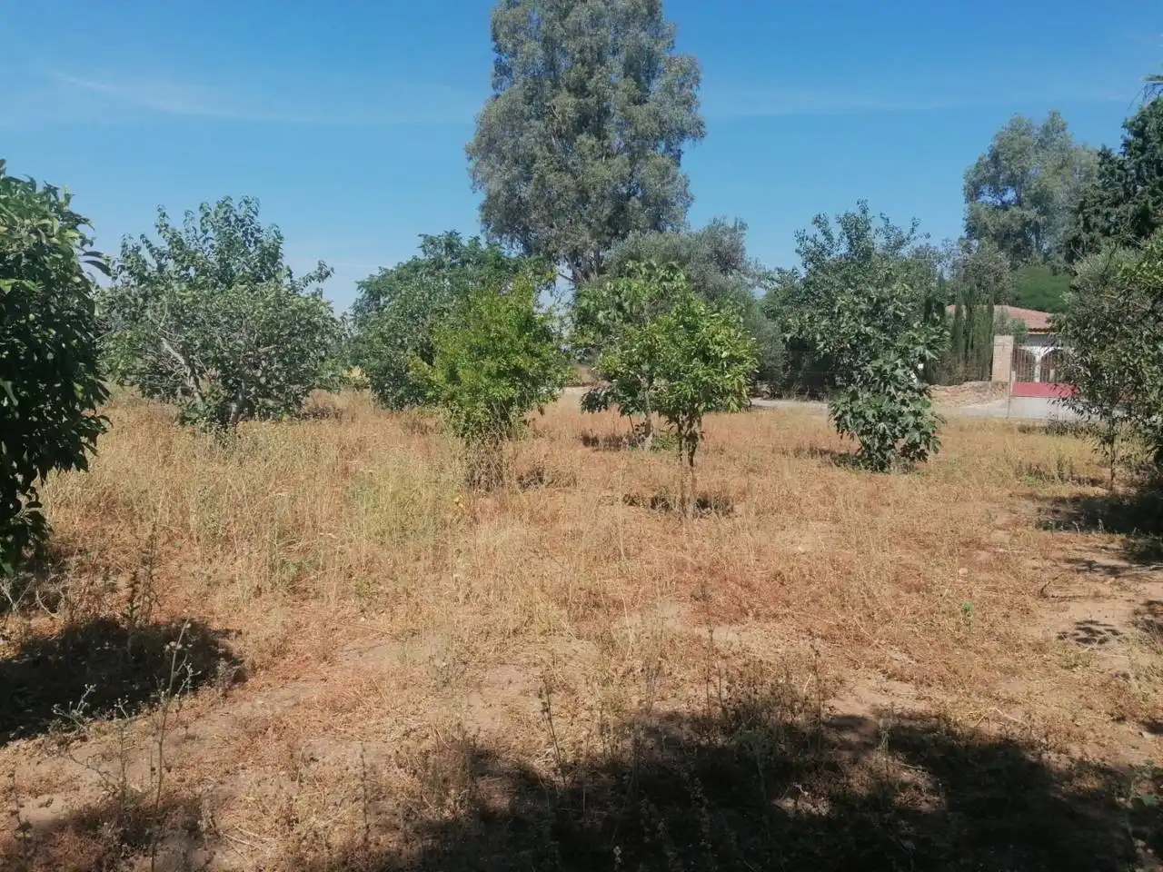 Chalet en venta en Calle URB. CAÑADA BAJA, imagen 13
