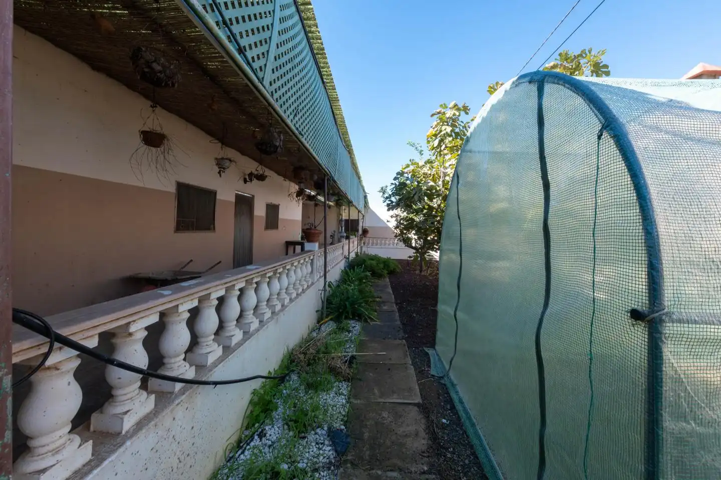 Terrace of Country homes for sale in Gáldar