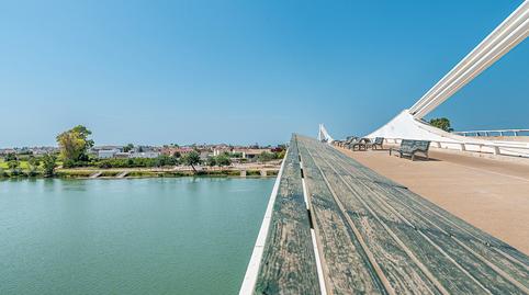 Photo 5 of Attic for sale in Deltebre, Tarragona
