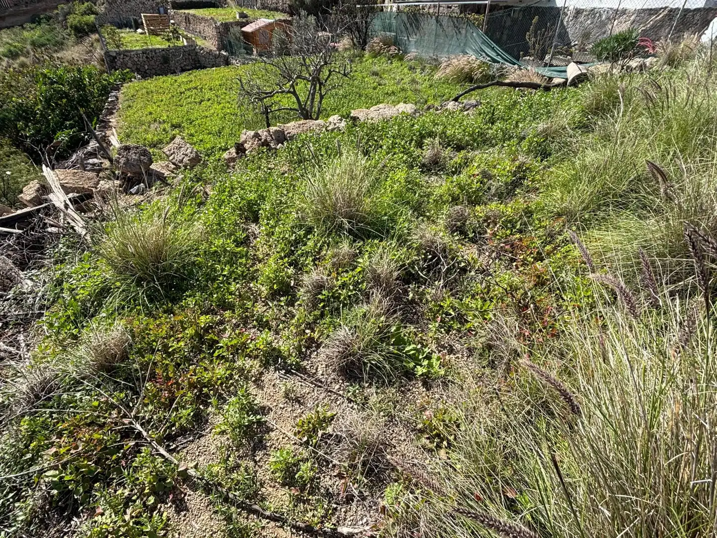 Lands and plots for sale in Carretera Carretera General del Sur 16B, imagen 8