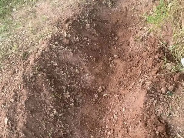 Terreno rustico in vendita a Paraje Huertas 10, imagen 2