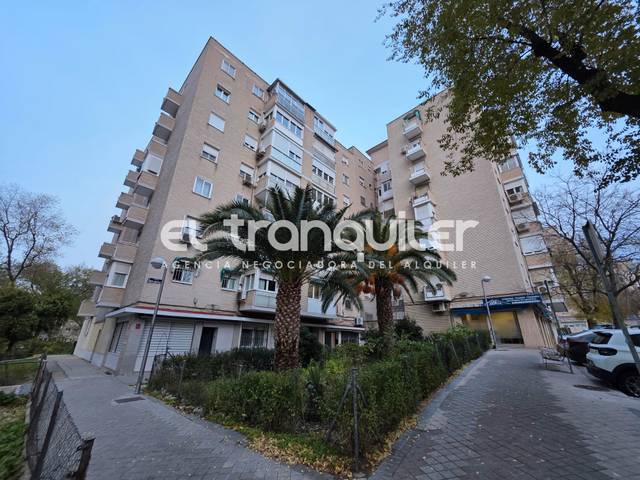 Piso en Alquiler en Calle Entre Arroyos en Media Legua