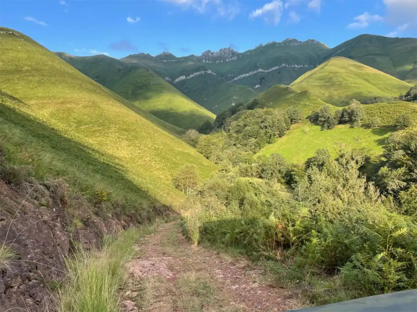 Vista exterior de Finca rústica en venda en Selaya