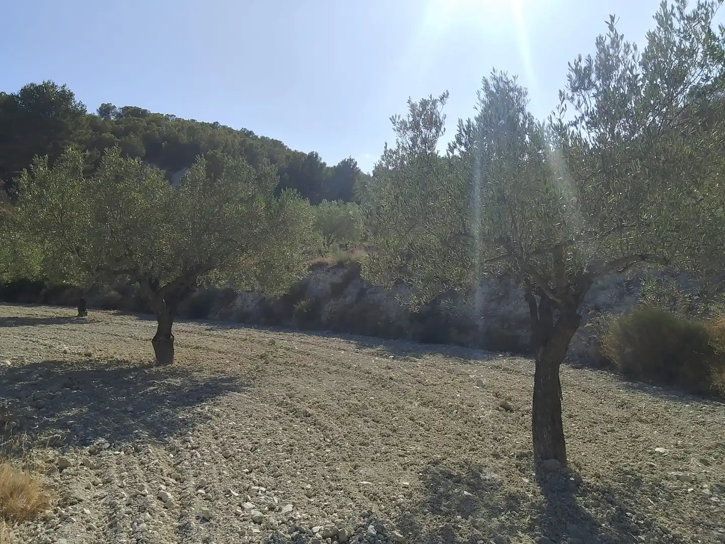 Terreno rustico in vendita a N/A, imagen 116