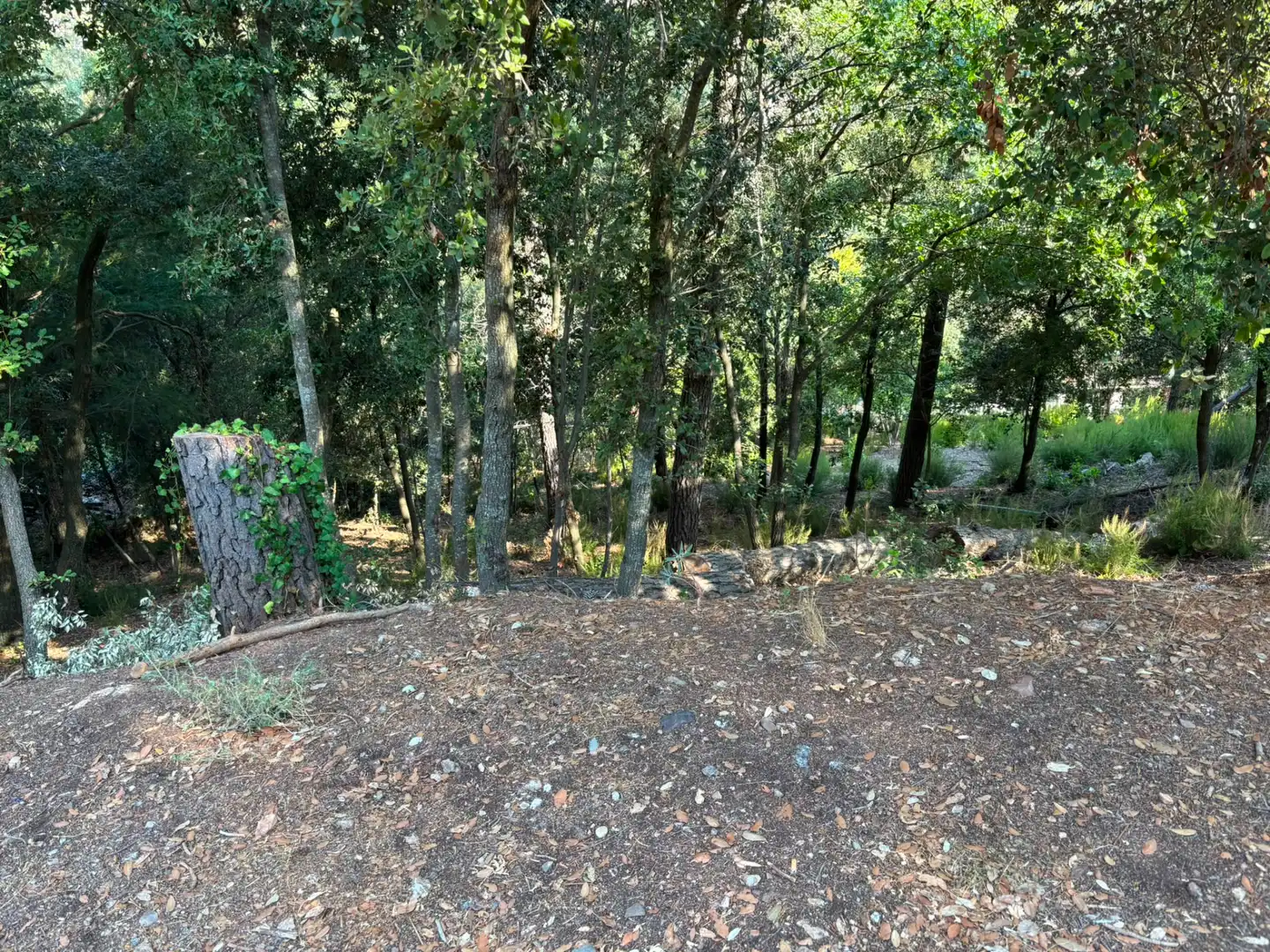 Terreno residencial en venta en Carrer del Gabi 18, imagen 8