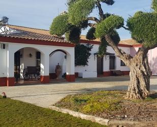 Vista exterior de Finca rústica en venda en Alcalá del Río amb Aire condicionat, Calefacció i Jardí privat