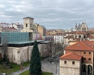 Vista exterior de Pis en venda en Burgos Capital amb Calefacció, Parquet i Terrassa