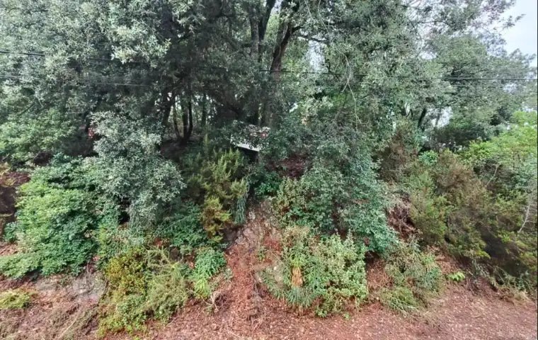Wohnbaugrundstück zum Verkauf in Carrer Serra de Sant Feliu, imagen 10