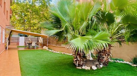 Foto 2 de Planta baixa en venda a Passeig D'horta, Canaletes - Turonet, Barcelona