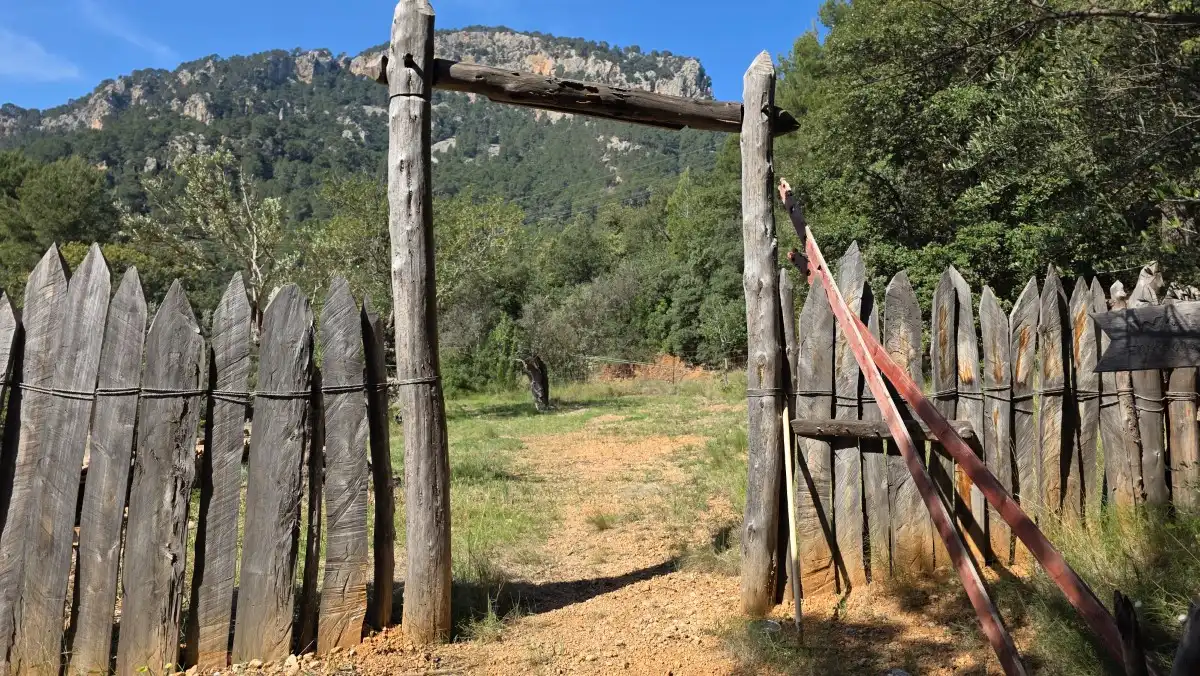 Terreny rústic en venda a Sóller, imagen 15