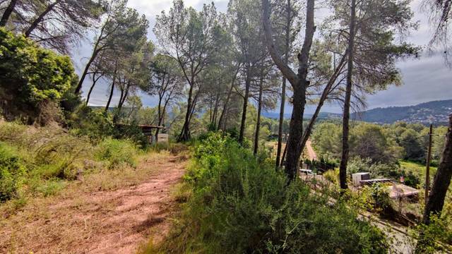 Terreno residencial en Venta en Cervelló