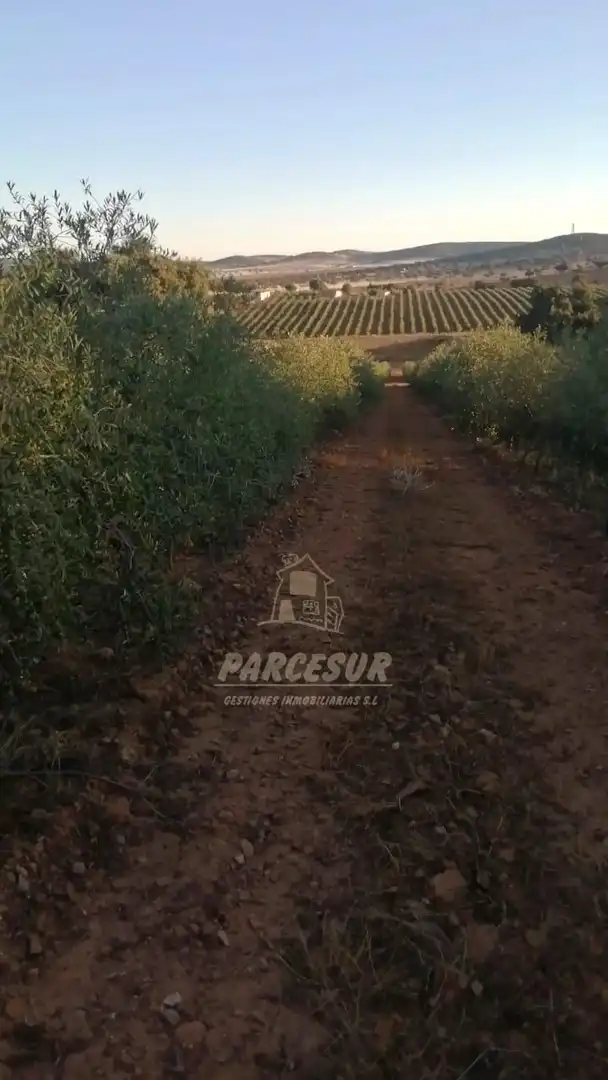 Finca rústica en venda en La Granjuela