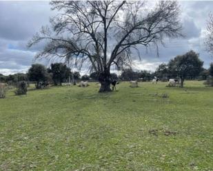 Land for sale in Galapagar