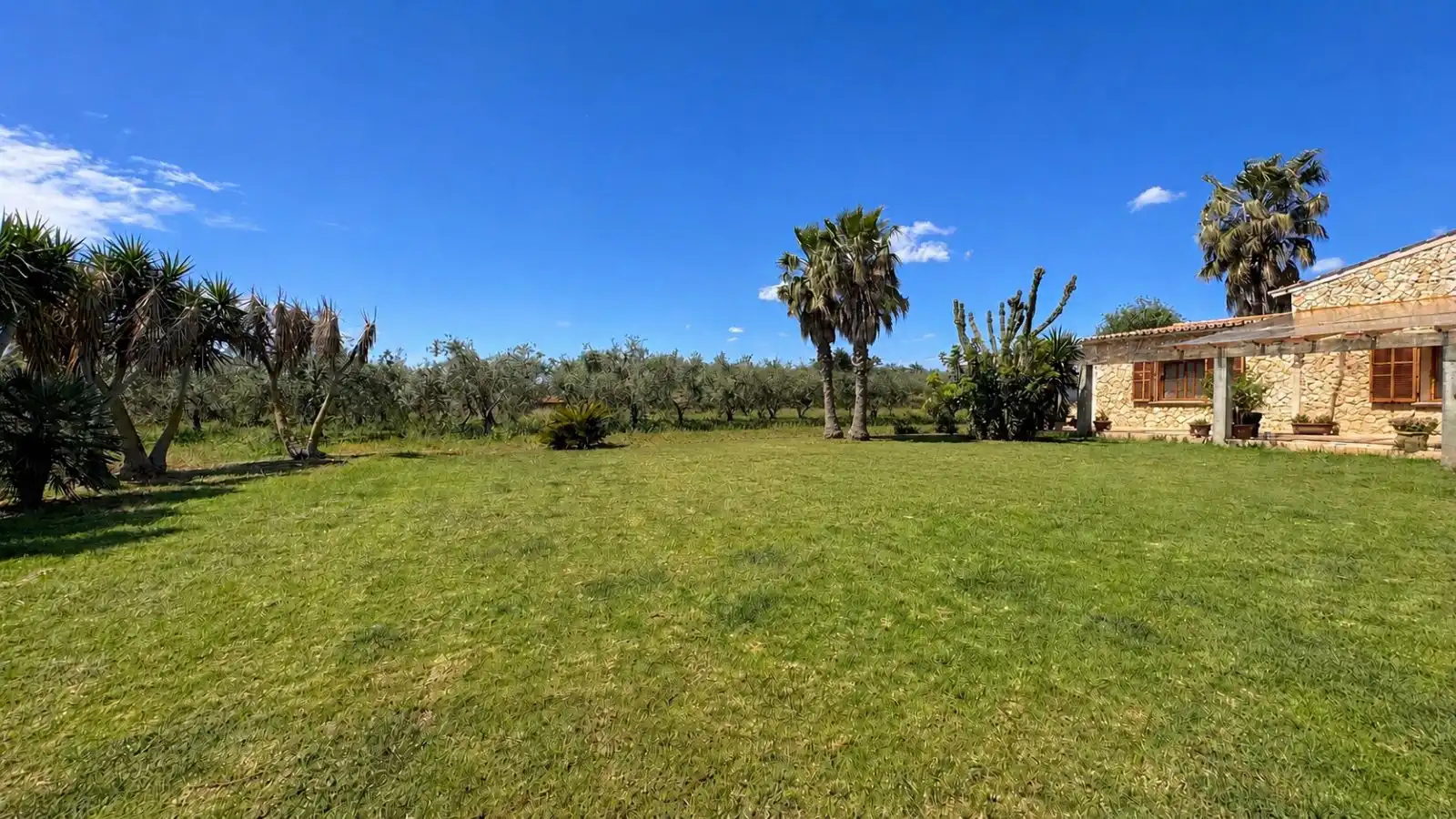 Maison rustique avec terrasse à vendre à Sa Pobla, imagen 22