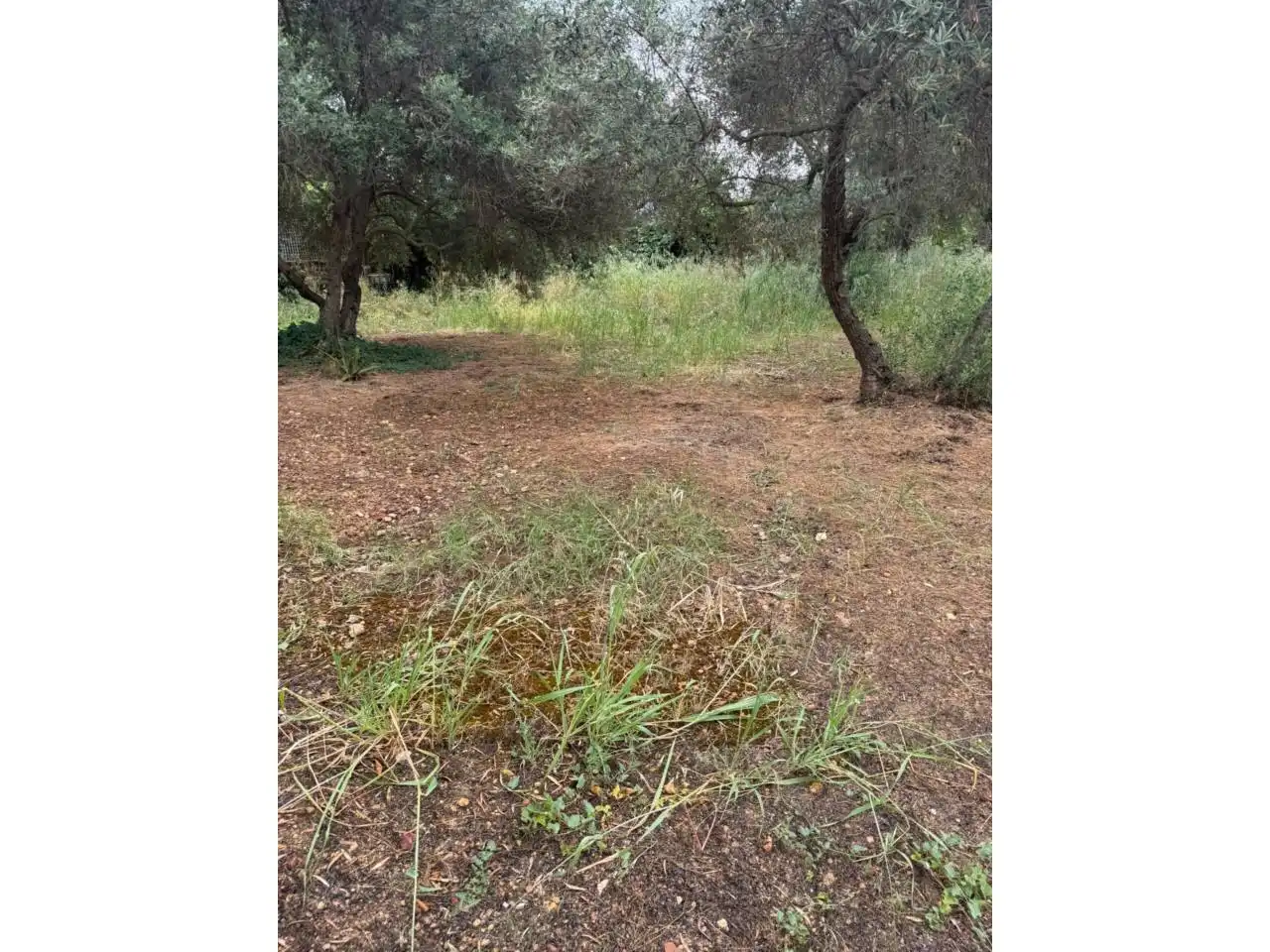 Chalet con jardín en venta en Urbanizacion Tres Palmeras, imagen 15