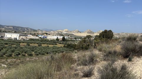 Foto 3 de Terreno en venta en Camino del Río, 26, Corazón de María, Lorca