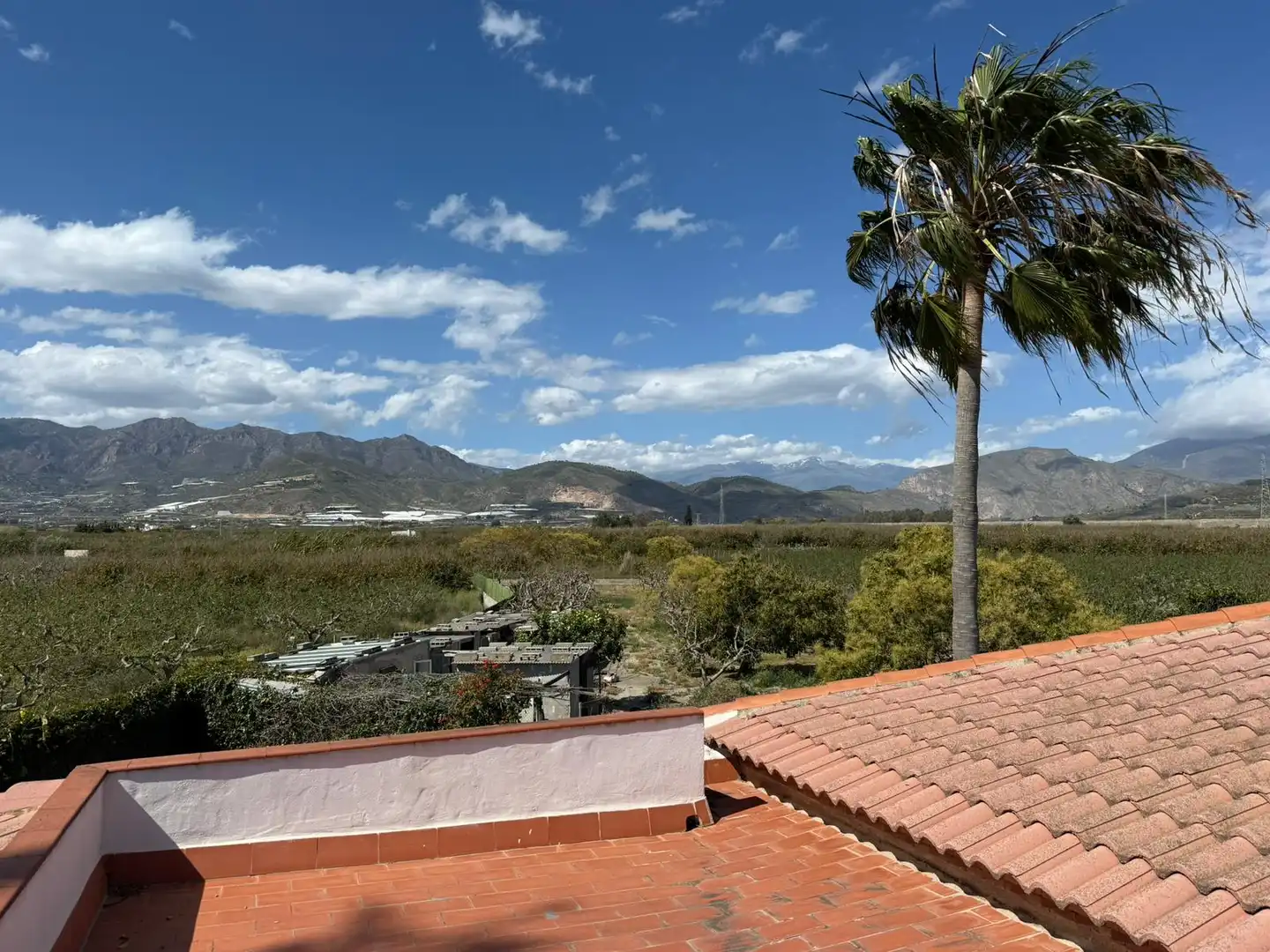 Vista exterior de Casa o chalet de alquiler en Salobreña con Calefacción, Jardín privado y Terraza